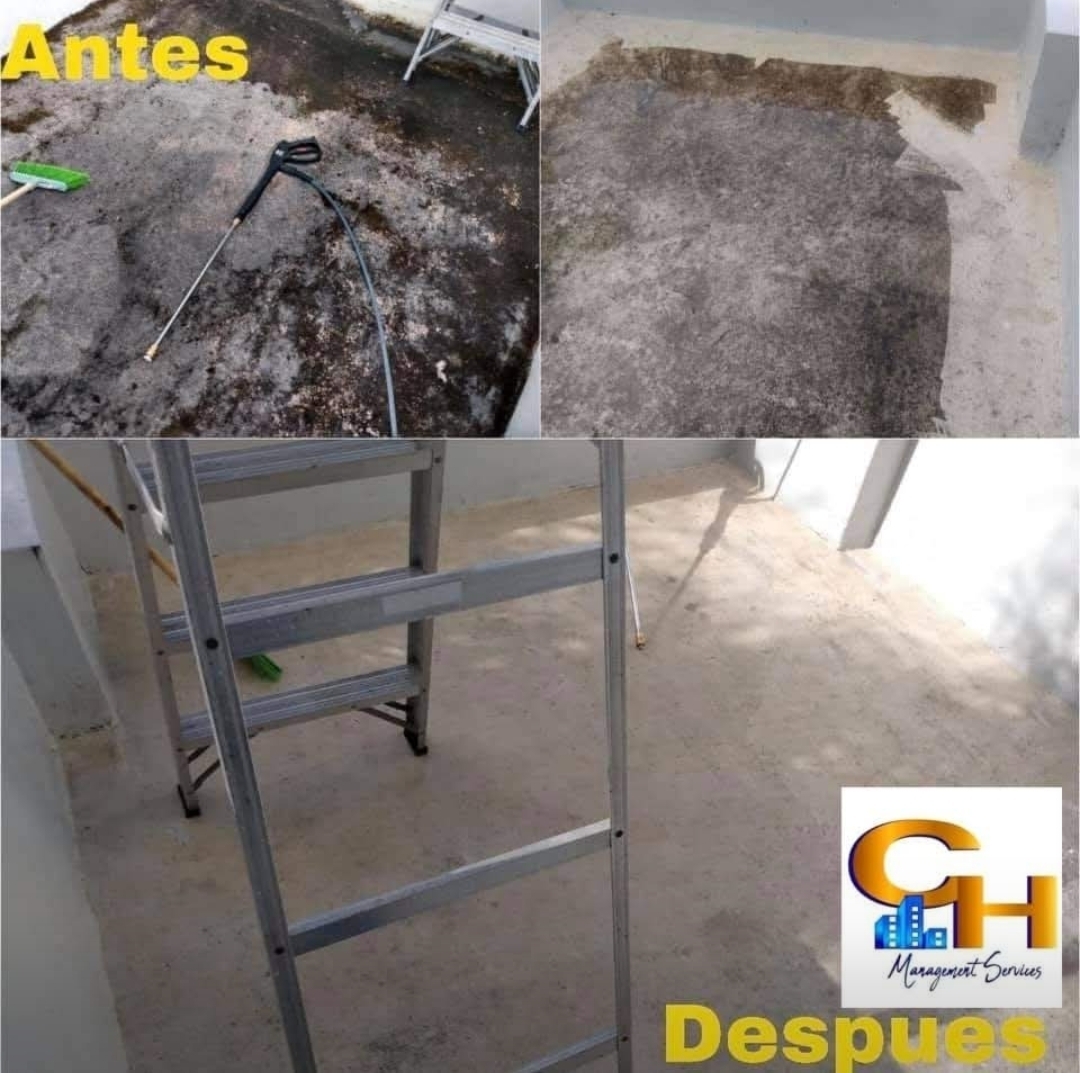 Antes y Después: Limpieza de Techos